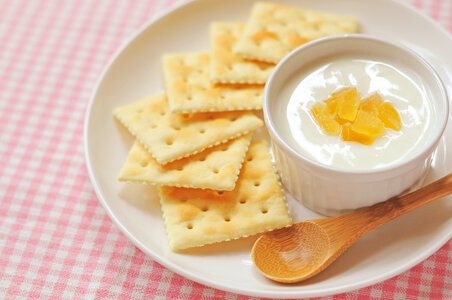 Yogurt cracker food