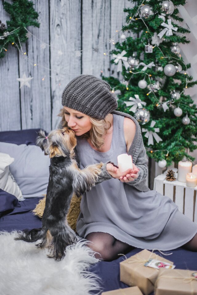 Yorkshire terrier woman kiss