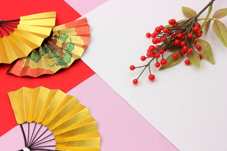 Japanese new year