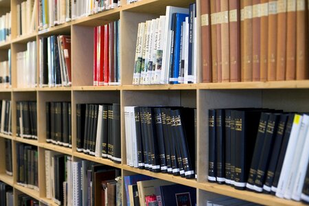 Library books bookshelf photo