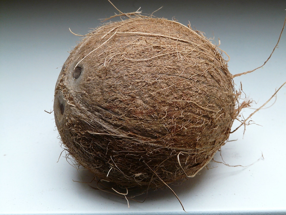 Sweet palm mediterranean