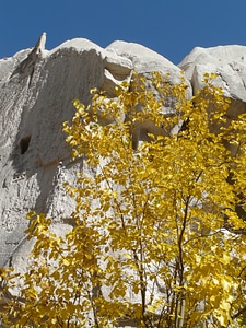 Rock autumn colorful