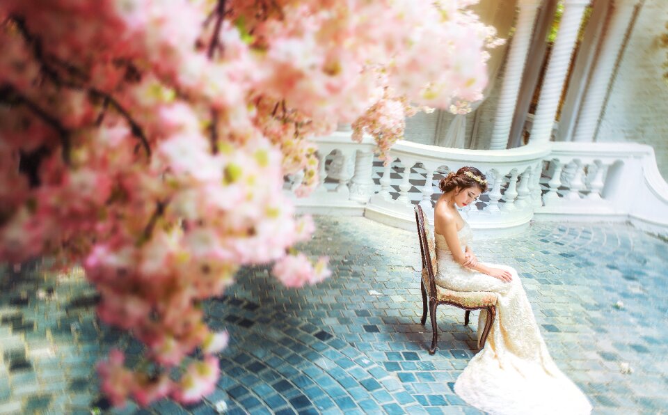 Wedding dress bride
