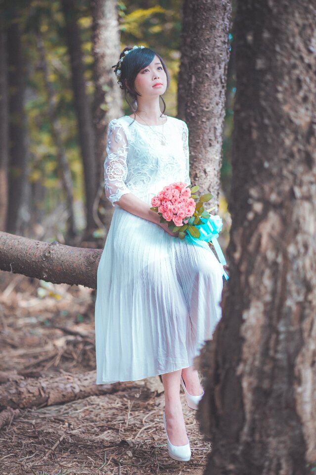 Bride wedding dress