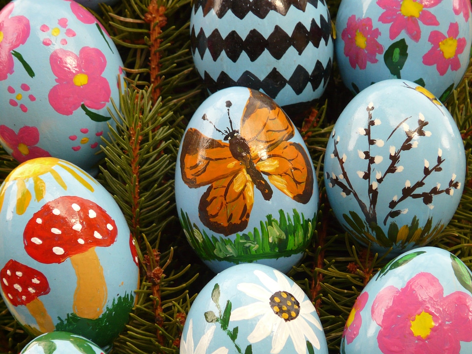 Easter egg painting easter eggs egg