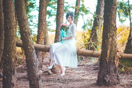 Bride wedding dress
