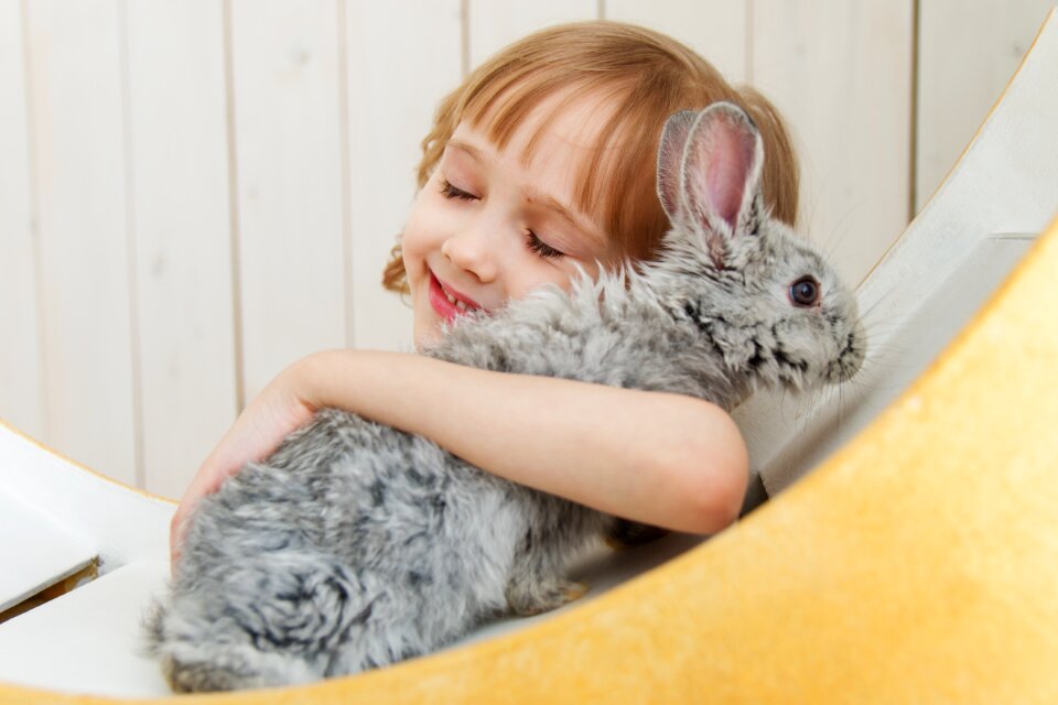 Child girl rabbit