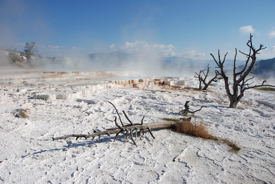 Landscape wyoming scenery