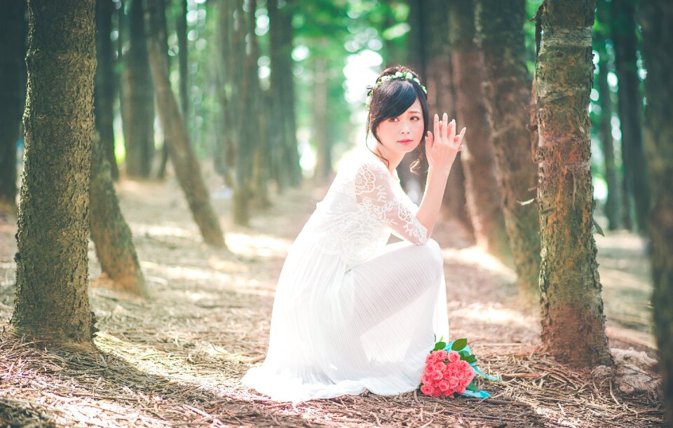 Bride wedding dress