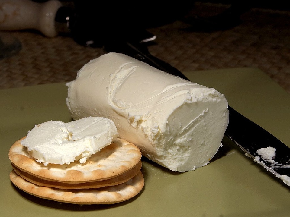 Milk product food ingredient