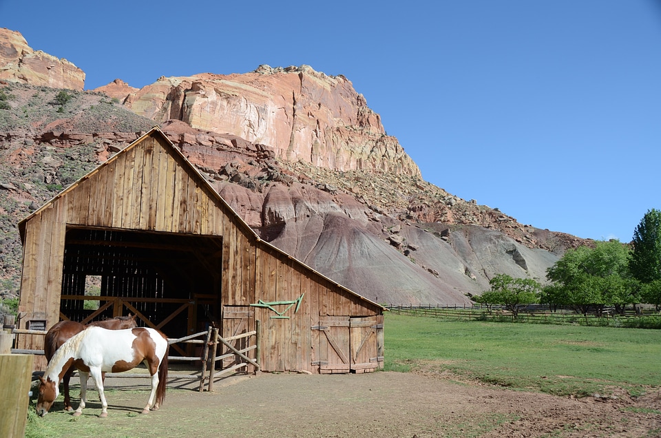 Utah fruita the west