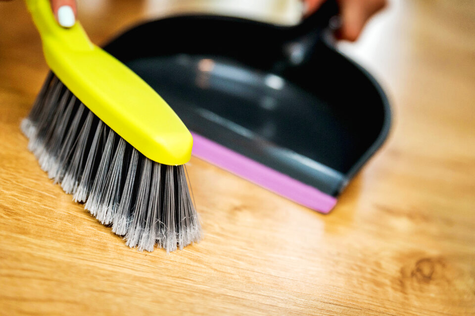 Clean brush dustpan