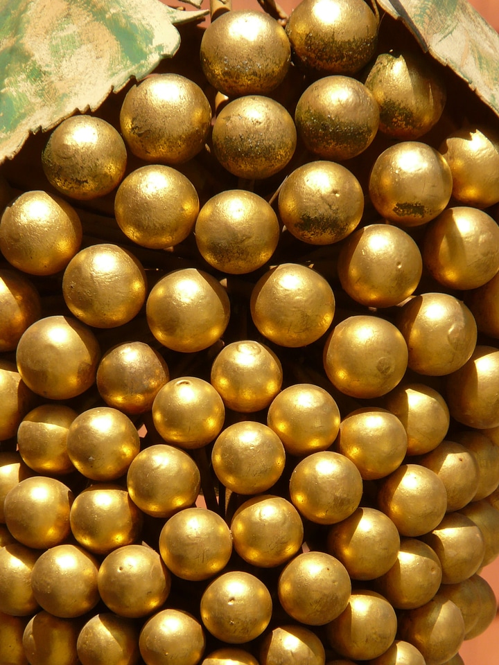 Gold wine grapes