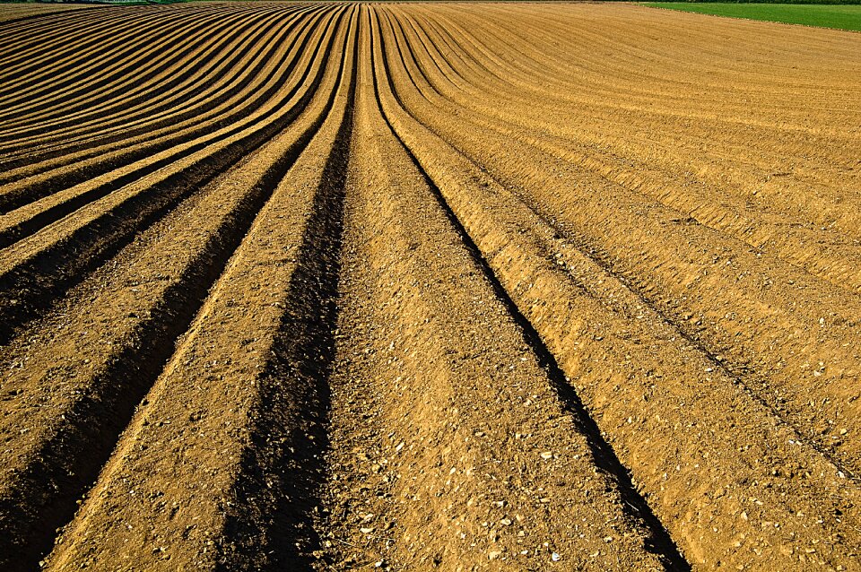 Field ridge furrow