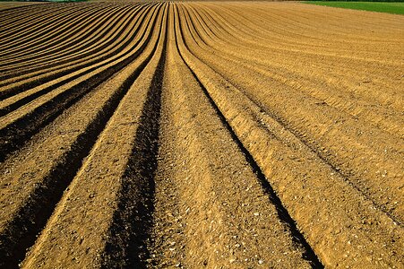 Field ridge furrow