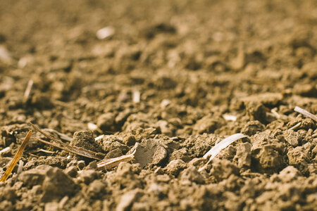 Field soil agriculture