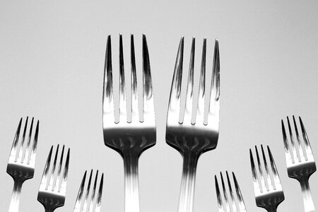 Fork cutlery photo