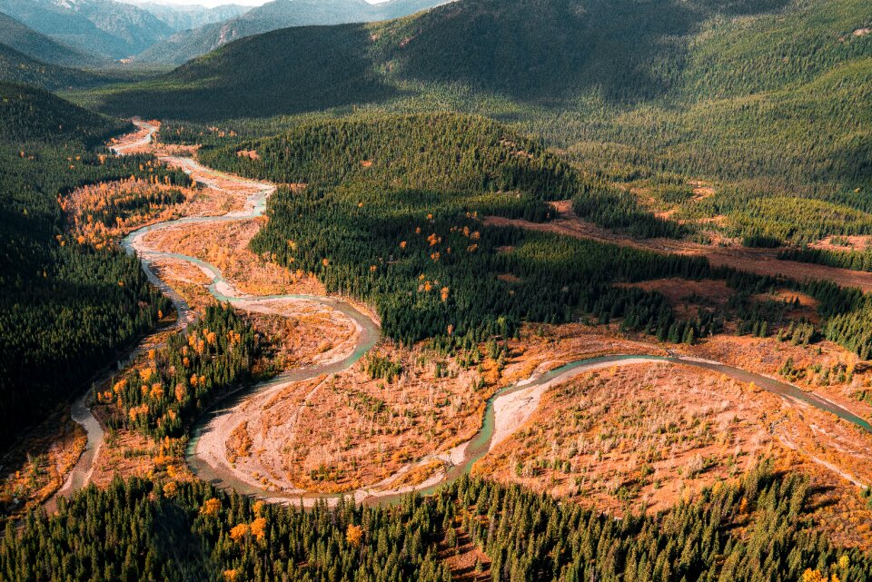 Flathead national forest river