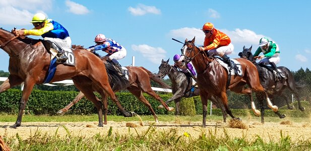 Horse racing jockey photo