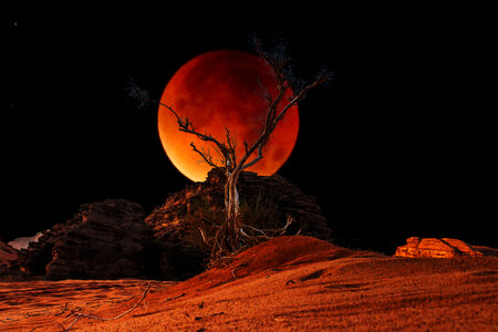 Moon wadi rum photo