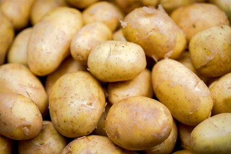 Potato vegetable