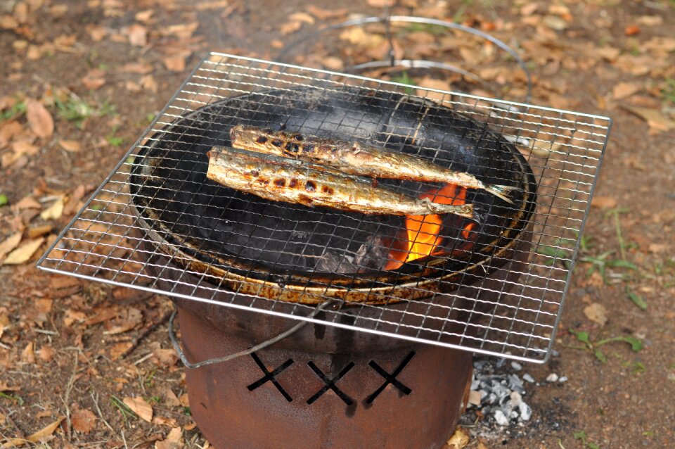 Salt grilled pacific saury