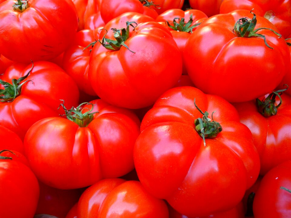 Tomato vegetable food