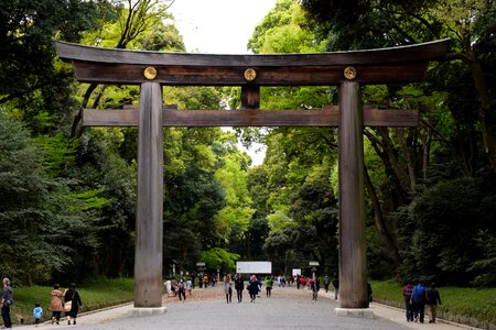 Tokyo meiji shrine torii