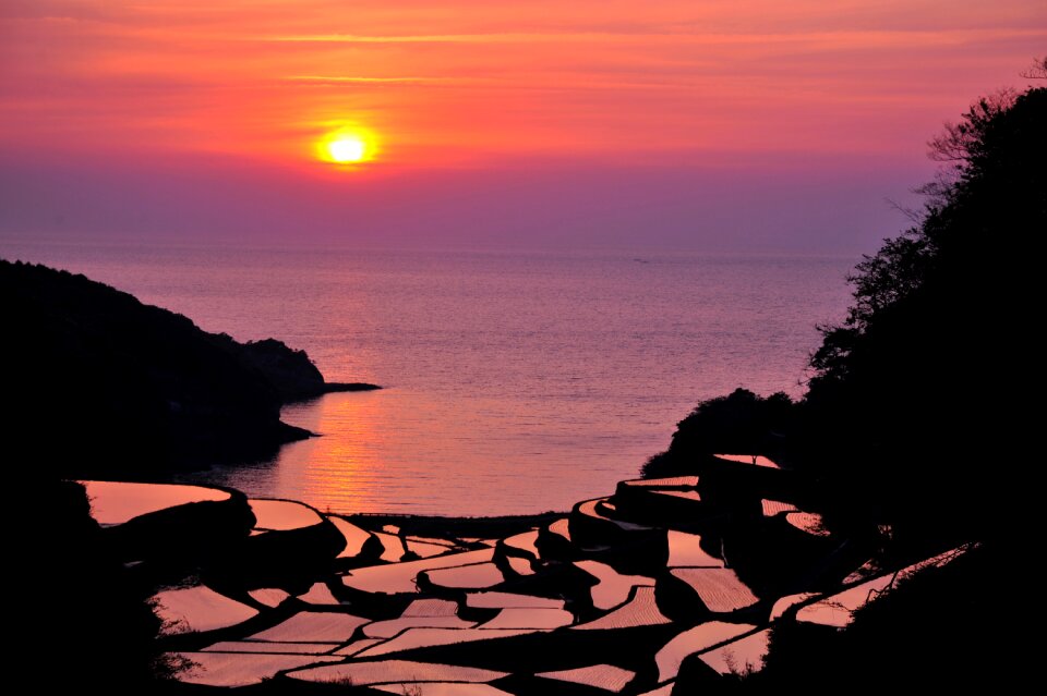 Terraced rice fields sunset