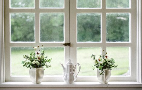 Window house plant teapot photo