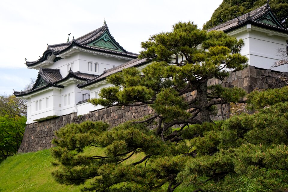 Tokyo imperial palace