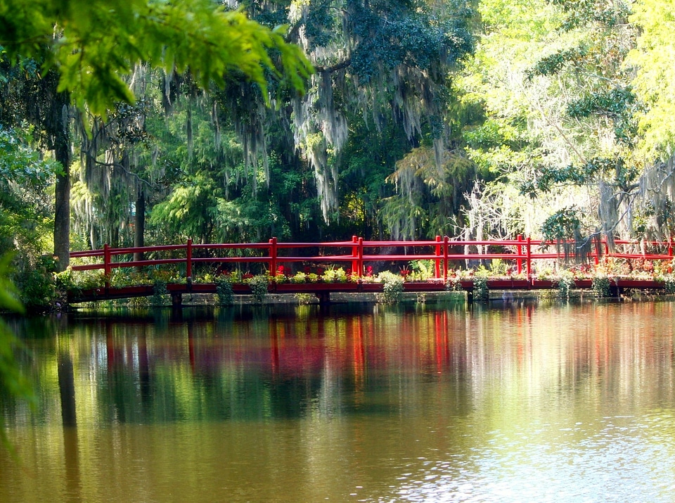 Pond waterway path