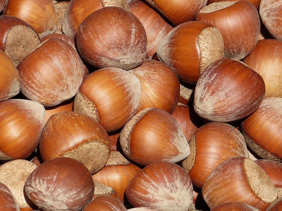 Shell brown market