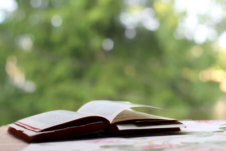 Book