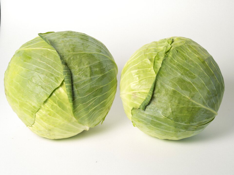 Cabbage vegetable food