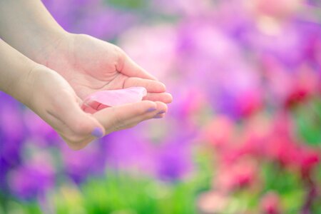 Hands petal