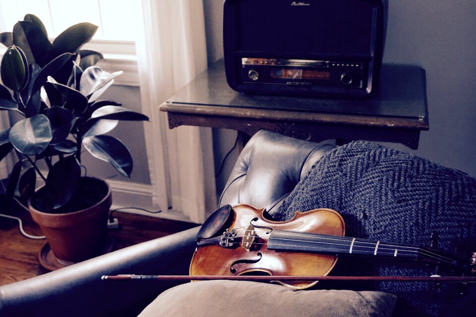 Violin musical instrument