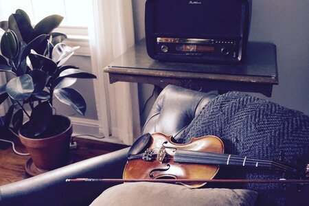 Violin musical instrument
