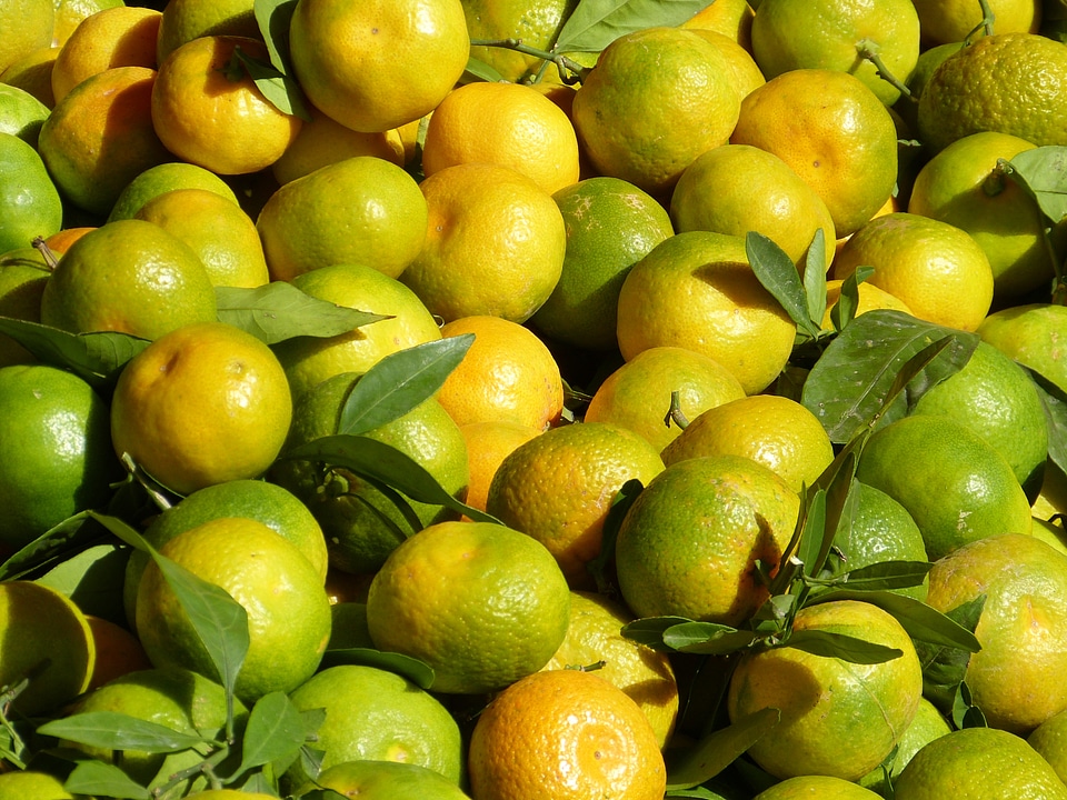 Fruit healthy nutrition