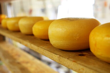 Cheese food
