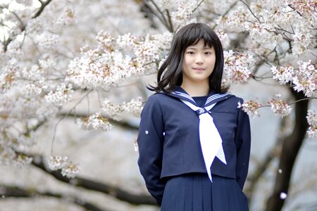 Female student cherry blossoms photo