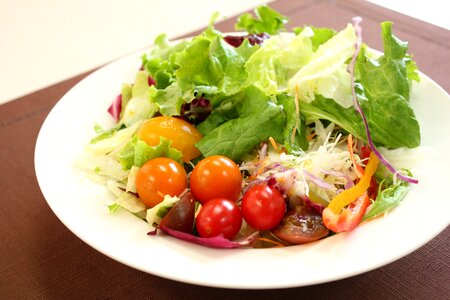 Salad food