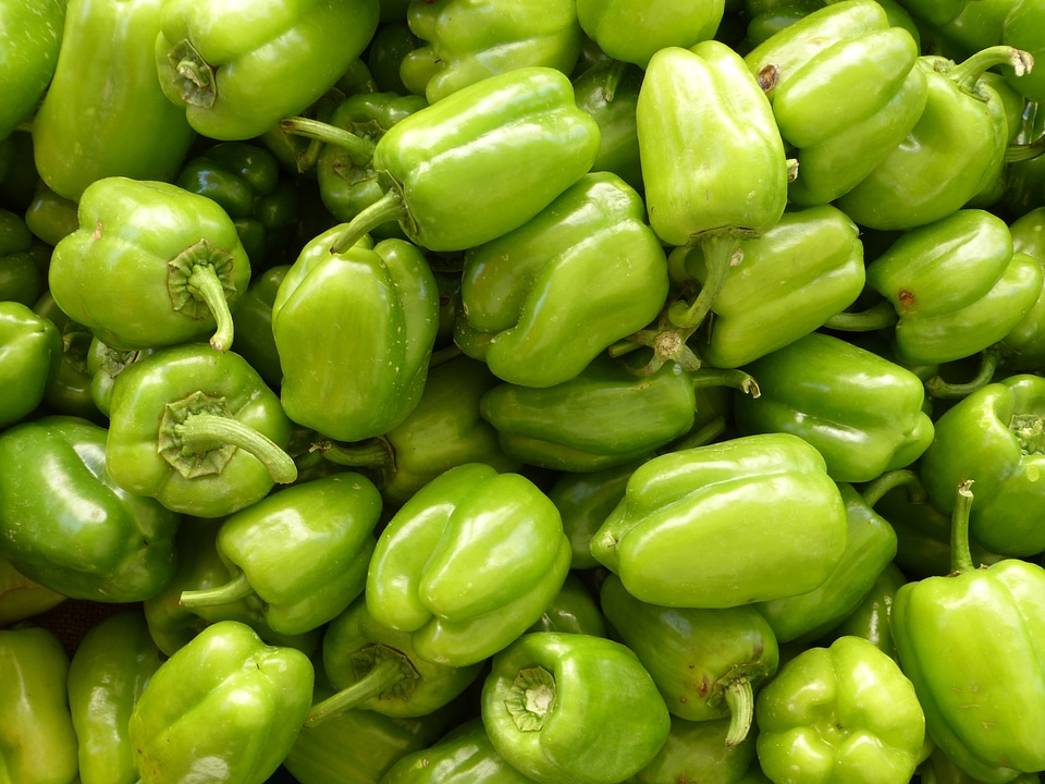 Green peppers sale market