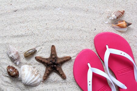 Beach sandals shell photo