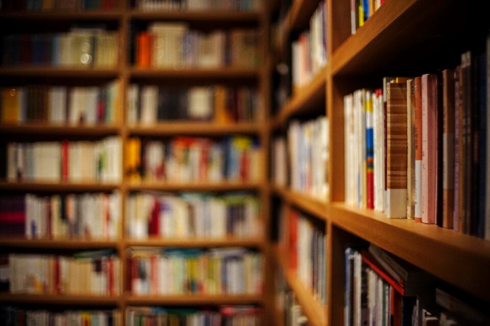 Book store bookshelf