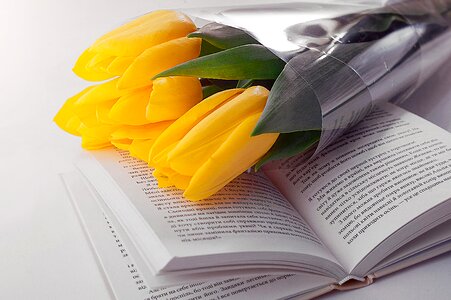 Book tulip flower photo