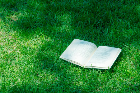 Book lawn