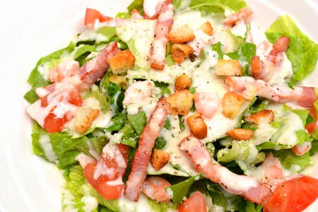 Caesar salad food photo
