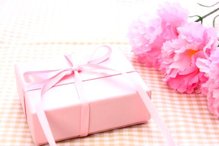 Carnation flower gift mothers day