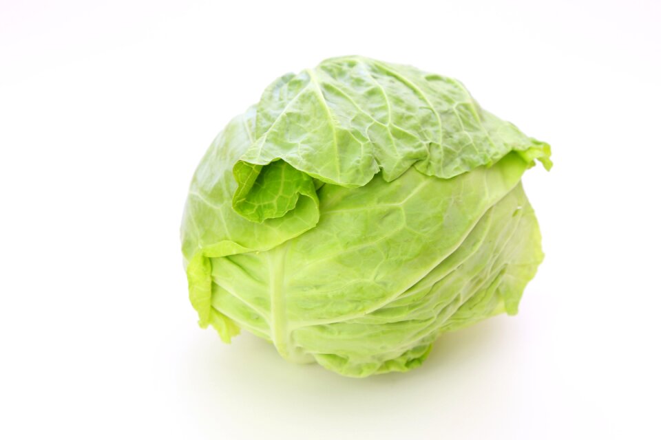 Cabbage vegetable food